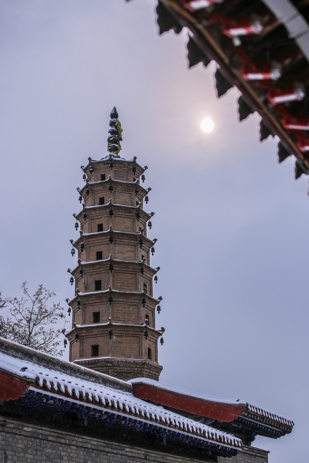 兰州市博物馆 参考图 2